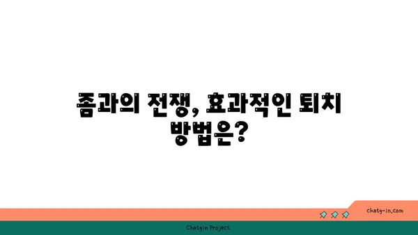 난잡한 좀 때문에 스트레스 받으세요? 깨끗한 집으로 바꾸는 5가지 실천법 | 좀 퇴치, 집 청소, 깨끗한 환경