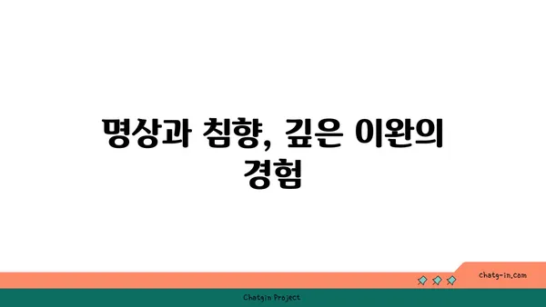 침향의 심리적 효과| 마음과 영혼을 고요케 하는 향기 | 명상, 스트레스 해소, 안정감