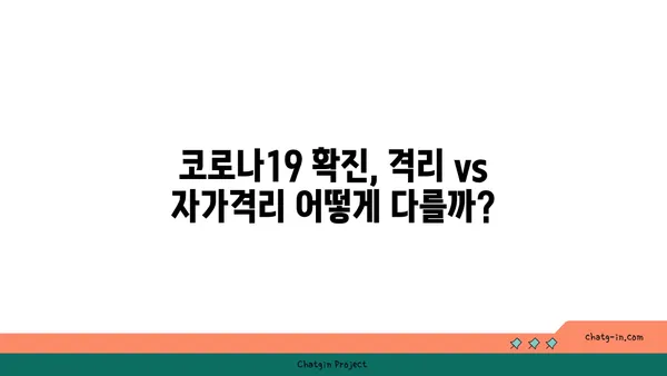 코로나19 격리 vs 자가격리| 차이점 완벽 정리 | 코로나19, 격리, 자가격리, 방역, 지침