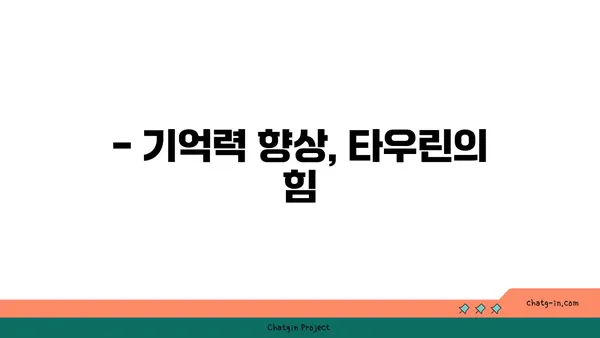 타우린의 뇌 건강 효능| 기억력, 집중력 향상 및 신경 보호 | 타우린, 뇌 기능, 건강, 영양소