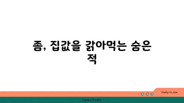 좀 때문에 망가지는 내 집, 얼마나 손해일까? | 숨겨진 비용 폭로, 좀의 재정적 영향