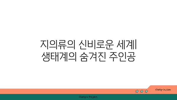 지의류의 신비로운 세계| 생태계의 숨겨진 주인공 | 지의류, 공생, 생태, 환경