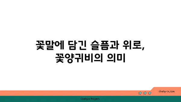 꽃양귀비의 매력에 빠지다| 아름다움과 의미를 담은 꽃 | 꽃양귀비, 꽃말, 재배, 사진, 정보, 이야기