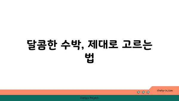 수박의 달콤한 비밀, 그 맛을 더 깊이 알아보세요! | 수박 고르는 팁, 맛있게 먹는 법, 수박 효능