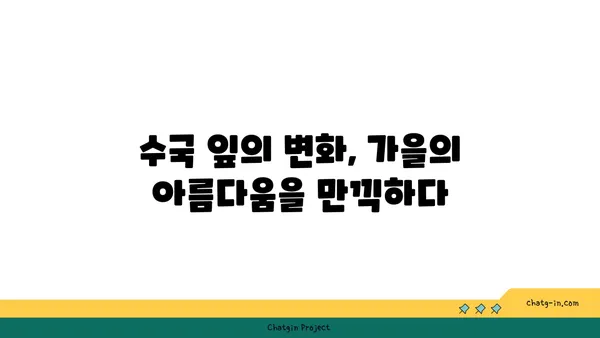 수국의 잎, 가을 색으로 물들다| 계절의 변화를 감상하는 특별한 방법 | 수국, 가을, 단풍, 잎, 감상