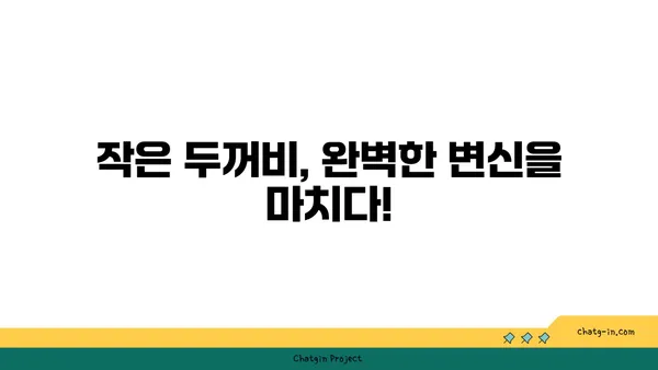 작은두꺼비의 놀라운 변신| 알에서 성인까지 | 양서류, 두꺼비, 생태, 성장