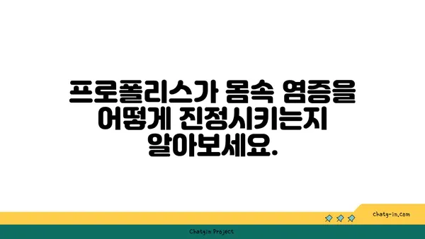 프로폴리스의 항염증 효과| 몸 속 통증과 염증 완화를 위한 자연의 선물 | 프로폴리스 효능, 염증 완화, 통증 완화, 건강 팁