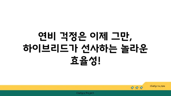 하이브리드 자동차에 대한 편견, 이제는 깨끗이 잊어도 괜찮습니다! | 하이브리드 자동차 장점, 친환경, 연비, 효율성