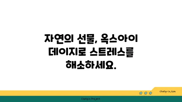 옥스아이 데이지 명상| 자연의 아름다움으로 마음을 깨우는 5가지 방법 | 명상, 자연, 옥스아이 데이지, 집중력, 스트레스 해소