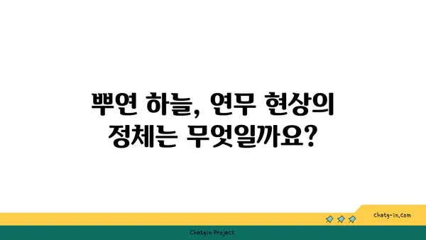 연무 현상| 원인 분석 및 대처 방안 | 대기오염, 미세먼지, 환경 문제