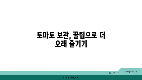 토마토 신선하게 오래 보관하는 방법| 포장 & 보관 꿀팁 | 토마토 보관, 영양 유지, 신선도 유지