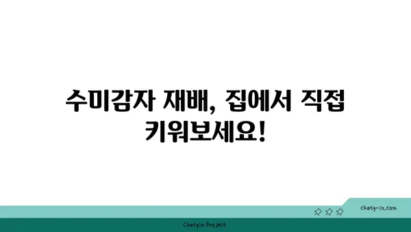 수미감자| 섬유질 풍부, 소화 건강을 위한 최고의 선택 | 수미감자 효능, 재배 방법, 요리 레시피