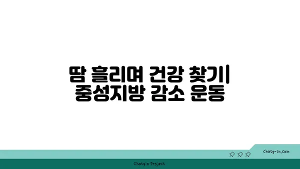 중성지방 감소를 위한 효과적인 운동 종류 5가지 | 건강, 운동, 지방 감소, 체중 감량