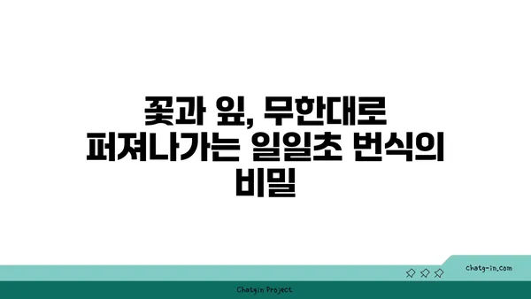 일일초 키우기 완벽 가이드| 햇빛, 물주기, 번식, 겨울나기까지 | 꽃말, 종류, 효능, 관리법