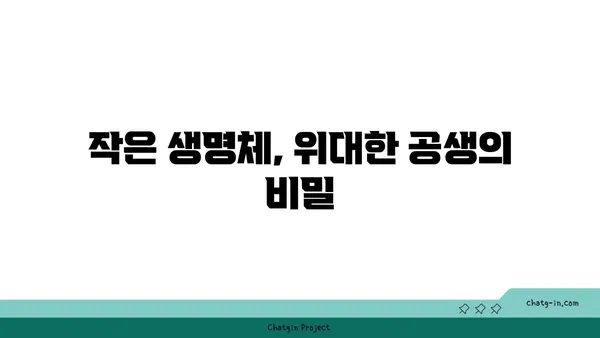 지의류의 신비로운 세계| 생태계의 숨겨진 주인공 | 지의류, 공생, 생태, 환경