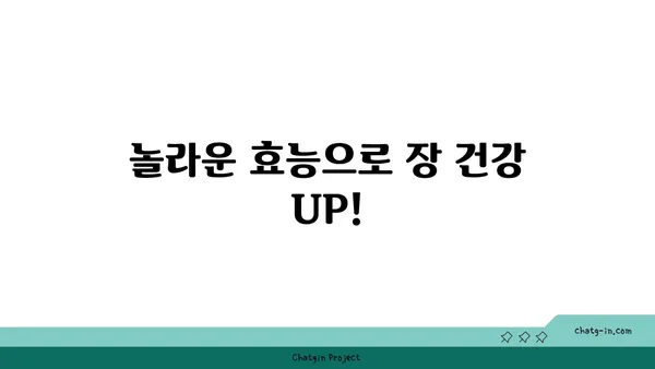 장 건강 지키는 똑똑한 방법| 바나나의 놀라운 효능 | 장 건강, 바나나, 건강 식단, 섬유질, 소화