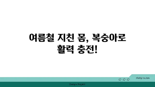 복숭아의 여름 햇살| 자연의 달콤한 영양보충제 | 복숭아 효능, 복숭아 영양 성분, 여름철 건강 팁