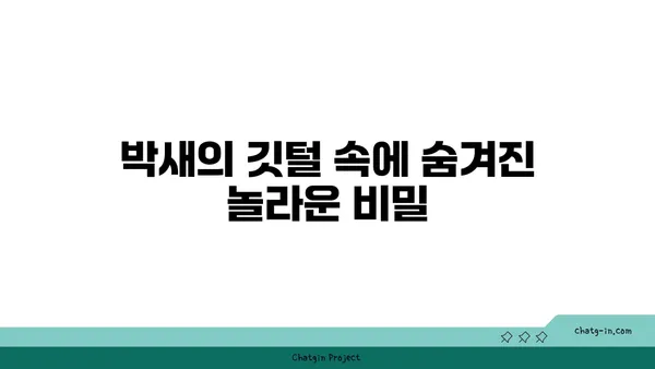 박새의 비밀| 텃새 박새의 생태와 특징 알아보기 | 박새, 텃새, 새 관찰, 조류 생태