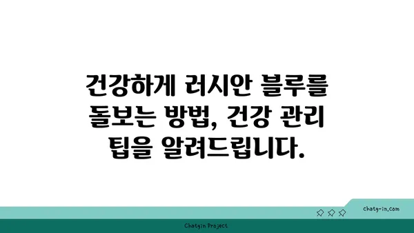 러시안 블루 고양이| 매력적인 품종의 모든 것 | 러시안 블루, 고양이 품종, 성격, 특징, 건강