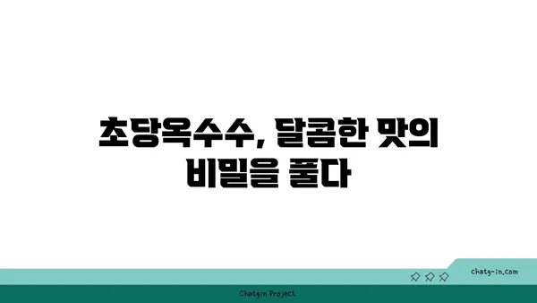 달콤한 맛의 역사| 초당옥수수의 기원과 문화적 의미 | 옥수수, 품종, 유래, 전통