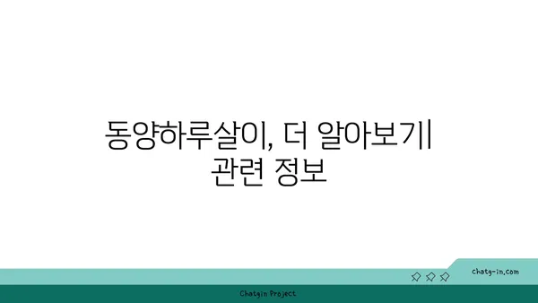 동양하루살이 생태 관찰 가이드| 서식지, 생김새, 생활사 | 하루살이, 곤충, 생물학, 관찰 팁