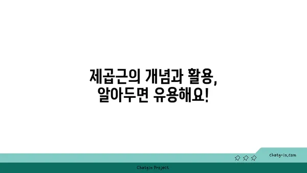 제곱근 계산| 쉬운 방법과 활용 | 수학, 공식, 계산기, 문제 풀이