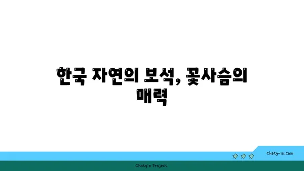 꽃사슴, 그 아름다운 비밀을 파헤쳐 보세요! | 꽃사슴, 사슴, 동물, 야생동물, 한국 동물