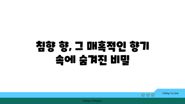 침향 향의 비밀| 향기 속에 담긴 과학 탐구 | 침향, 향, 연구, 과학, 향기, 분석