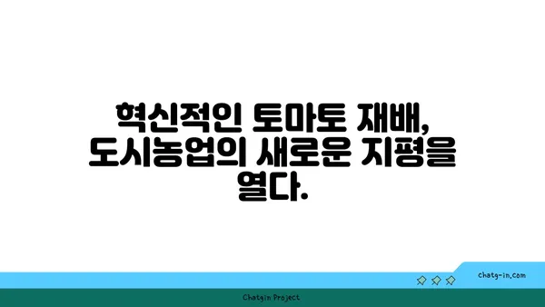 공간 제약 없이 토마토를 키우는 혁신적인 방법| 상자 속 토마토 재배 가이드 | 베란다텃밭, 수경재배, 도시농업