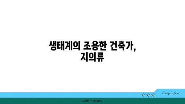 지의류의 신비로운 세계| 생태계의 숨겨진 주인공 | 지의류, 공생, 생태, 환경