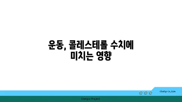 저위험 인자 콜레스테롤 수치 유지하기| 완벽 가이드 | 건강, 콜레스테롤, 심혈관 건강