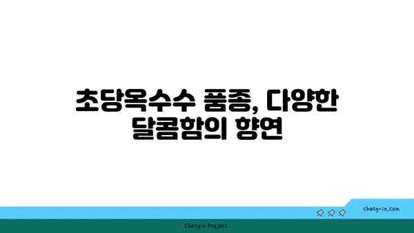 달콤한 맛의 역사| 초당옥수수의 기원과 문화적 의미 | 옥수수, 품종, 유래, 전통