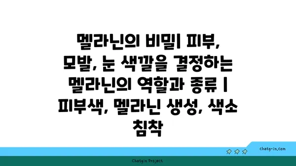 멜라닌의 비밀| 피부, 모발, 눈 색깔을 결정하는 멜라닌의 역할과 종류 | 피부색, 멜라닌 생성, 색소 침착