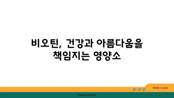 비오틴의 놀라운 효능! 노화 방지에 효과적인 비오틴 활용법 | 건강, 뷰티, 영양, 비타민