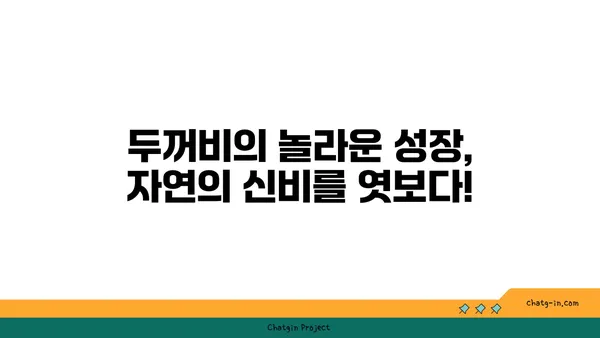 작은두꺼비의 놀라운 변신| 알에서 성인까지 | 양서류, 두꺼비, 생태, 성장