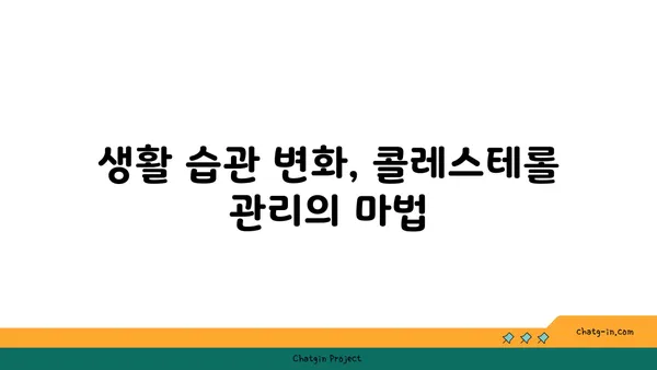 콜레스테롤 감소를 위한 필수 3가지 전략 | 건강 식단, 운동, 생활 습관 변화