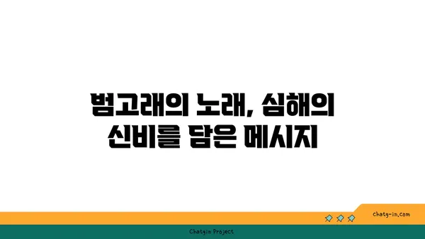 범고래의 비밀| 심해의 거인을 파헤치다 | 고래, 해양 생물, 심해 탐험