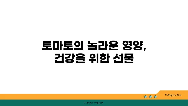 토마토| 건강한 삶의 맛있는 동반자 | 영양, 효능, 레시피, 섭취 가이드