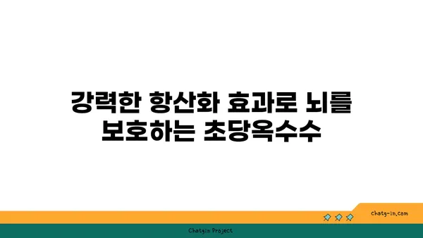 초당옥수수의 놀라운 신경 보호 효능| 과학적 근거와 실제 효과 | 뇌 건강, 항산화, 기억력, 집중력