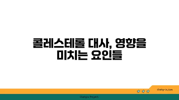 콜레스테롤 대사 조절| 건강한 수치를 유지하는 신체의 과정 이해하기 | 건강, 콜레스테롤, 대사