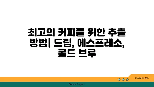 커피 애호가를 위한 완벽한 원두 선택 가이드 | 원두 종류, 로스팅, 추출, 커피 맛 팁