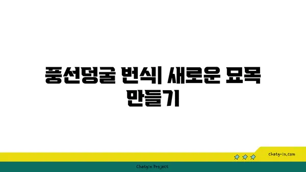 풍선덩굴 키우기| 햇살 가득한 정원을 위한 완벽한 가이드 | 풍선덩굴, 재배, 관리, 번식, 종류