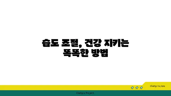 쾌적함의 비밀| 습도의 낙원, 사람에게 딱 맞는 상대습도 찾기 | 습도, 건강, 실내 환경, 쾌적함, 팁