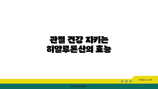 히알루론산의 모든 것| 피부, 관절, 효능, 부작용까지 | 히알루론산, 피부 탄력, 관절 건강, 화장품, 주사, 성분