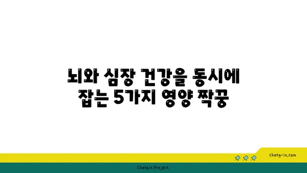 두뇌와 심장을 위한 최고의 짝궁! 5가지 영양가 있는 심뇌 듀오 | 건강, 영양, 두뇌 기능, 심장 건강, 식단