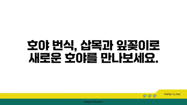 호야 키우기 완벽 가이드| 종류별 특징부터 관리 팁까지 | 호야, 식물 키우기, 실내 식물, 공기 정화 식물, 반려 식물