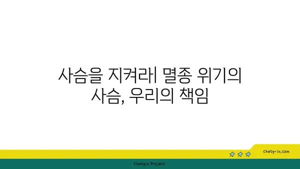 사슴의 비밀| 흥미로운 사실과 놀라운 능력 | 동물, 야생, 숲, 사슴 종류, 생태