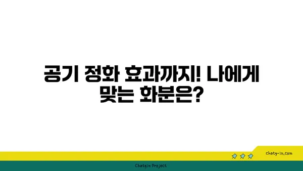 나만의 공간을 아름답게! 🌿 화분 선택 가이드 | 식물, 인테리어, 공기 정화, 베란다 정원, 실내 식물