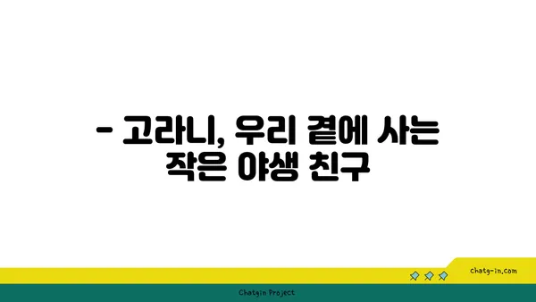 고라니, 알아야 할 10가지 사실 | 고라니, 야생동물, 보호, 서식지, 특징