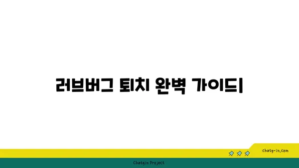 러브버그로부터 벗어나는 완벽 가이드 | 러브버그 제거, 해충 방제, 팁, 해결책